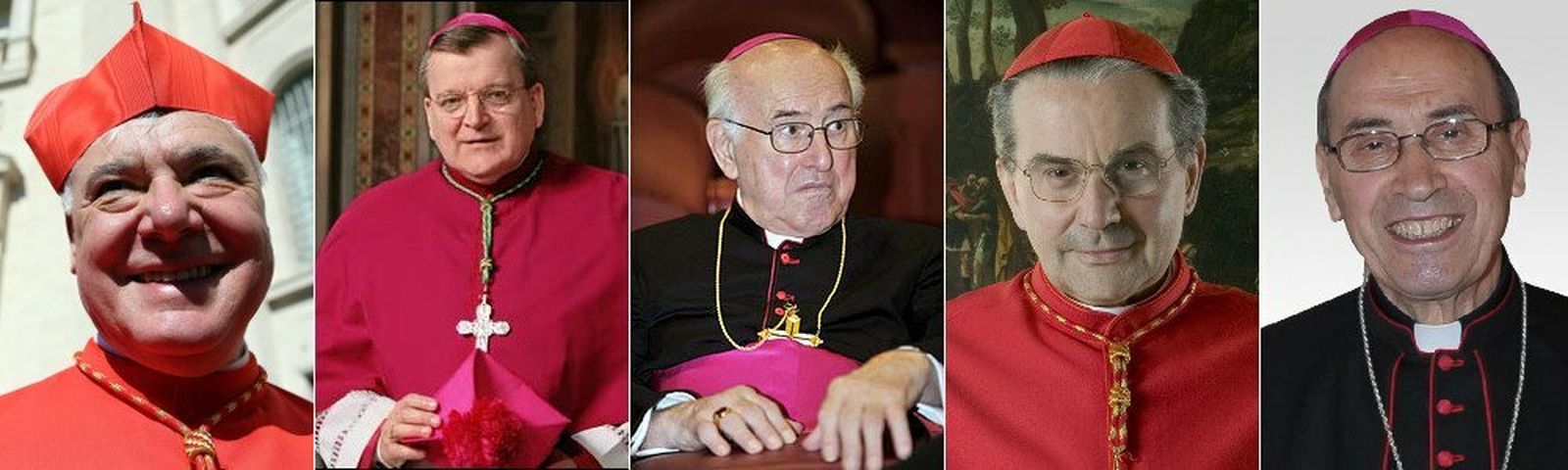 Los opositores al Papa Francisco