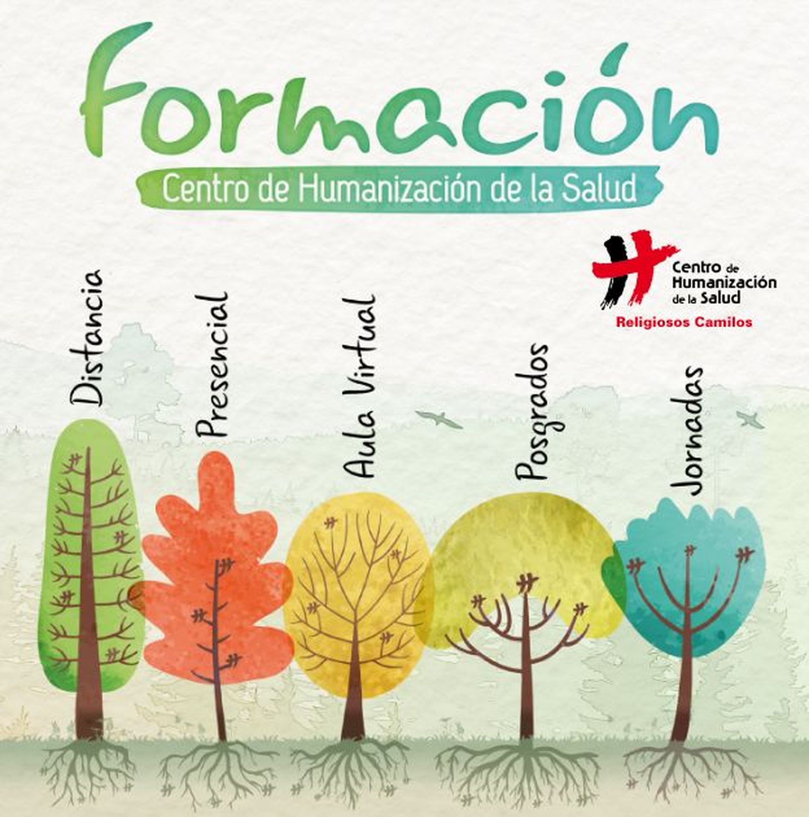 Formación