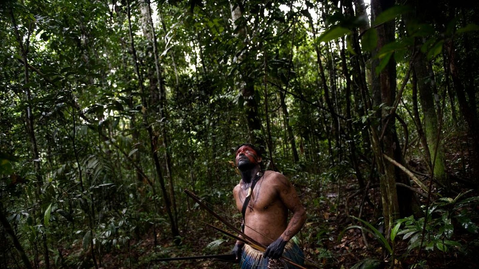 La Amazonía y el futuro de la Iglesia