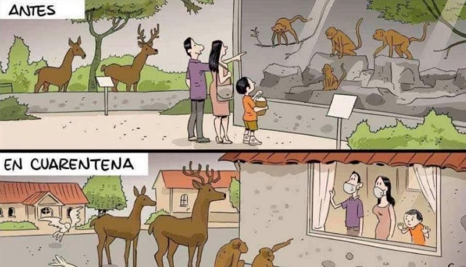 Animales y cuarentena