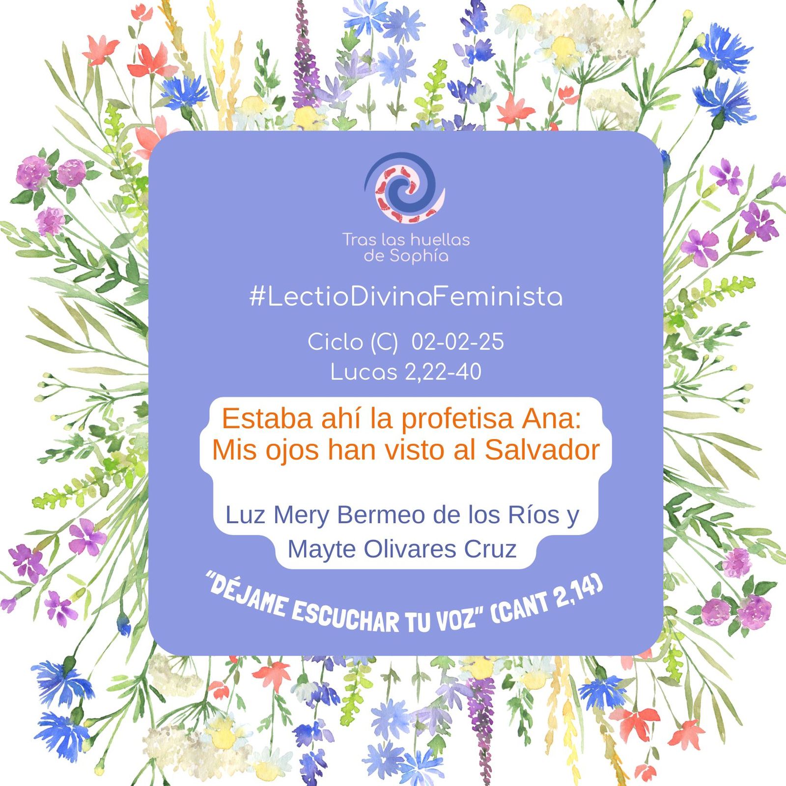 Estaba ahí la profetisa Ana:  Mis ojos han visto al Salvador