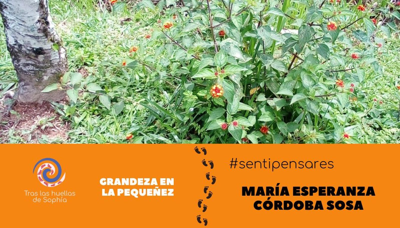 Grandeza en la pequeñez