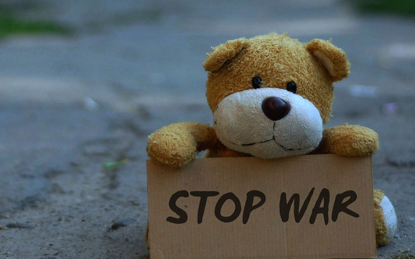 Stop war