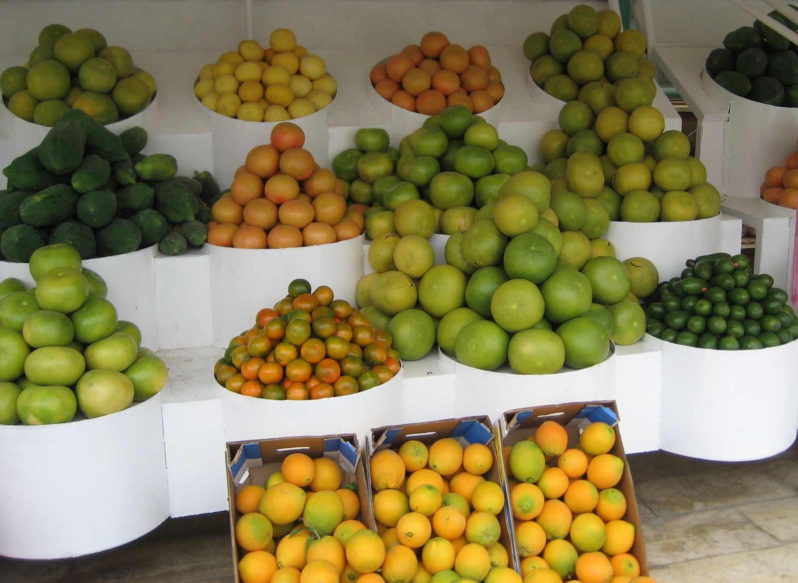 12 de diciembre: II Viernes de Adviento