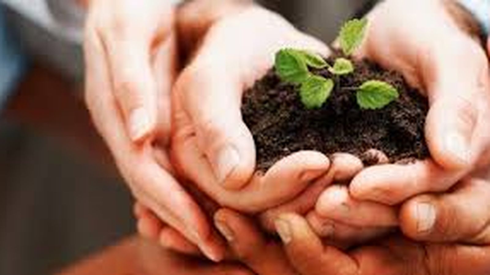 Cuidado del medio ambiente