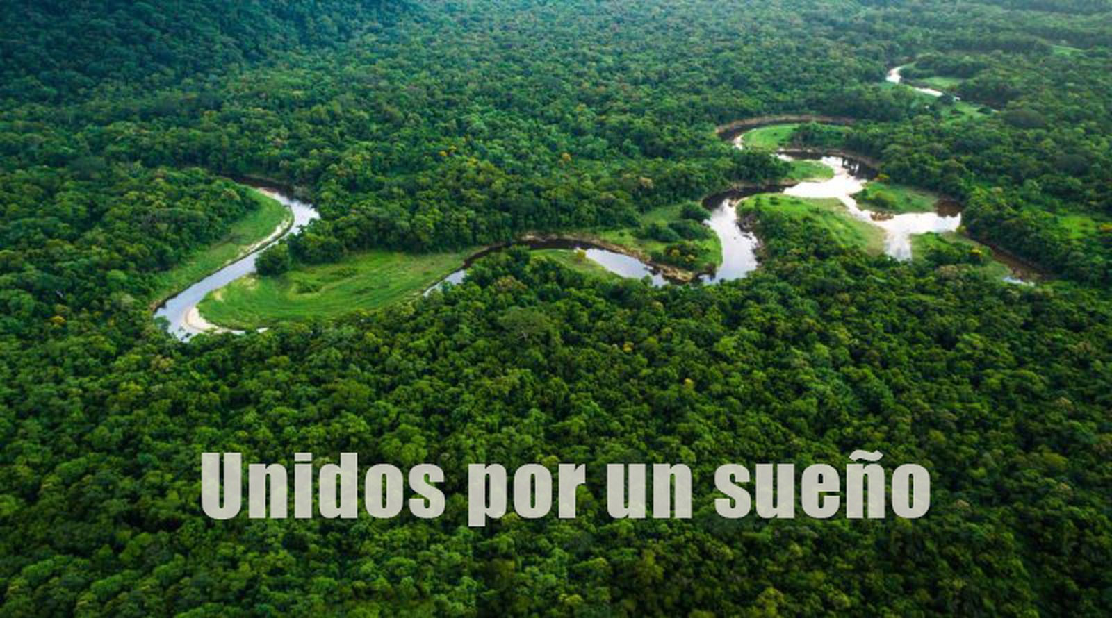 Amazonía palpitante