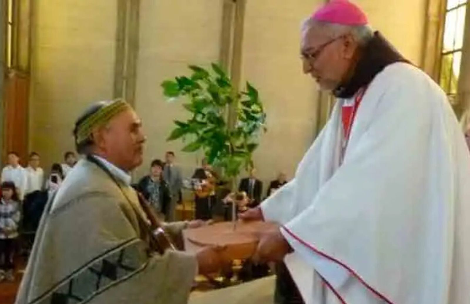 Obispo Jorge Concha Cayuqueo, O.F.M recibe un canelo, el árbol sagrado mapuche, cuando en 2020 asumió en Osorno