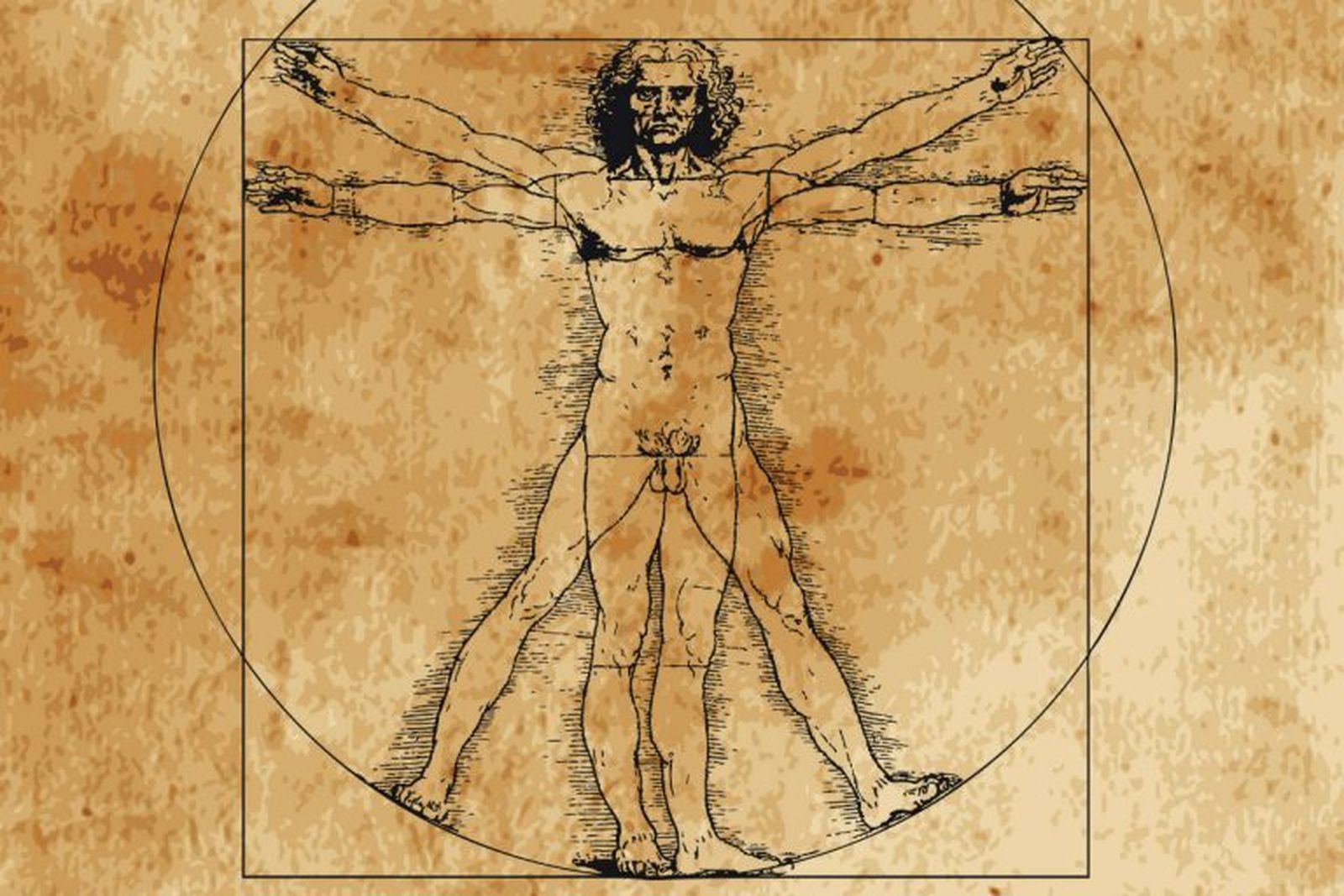 El hombre de Vitrubio. Boceto de Leonardo da Vinci