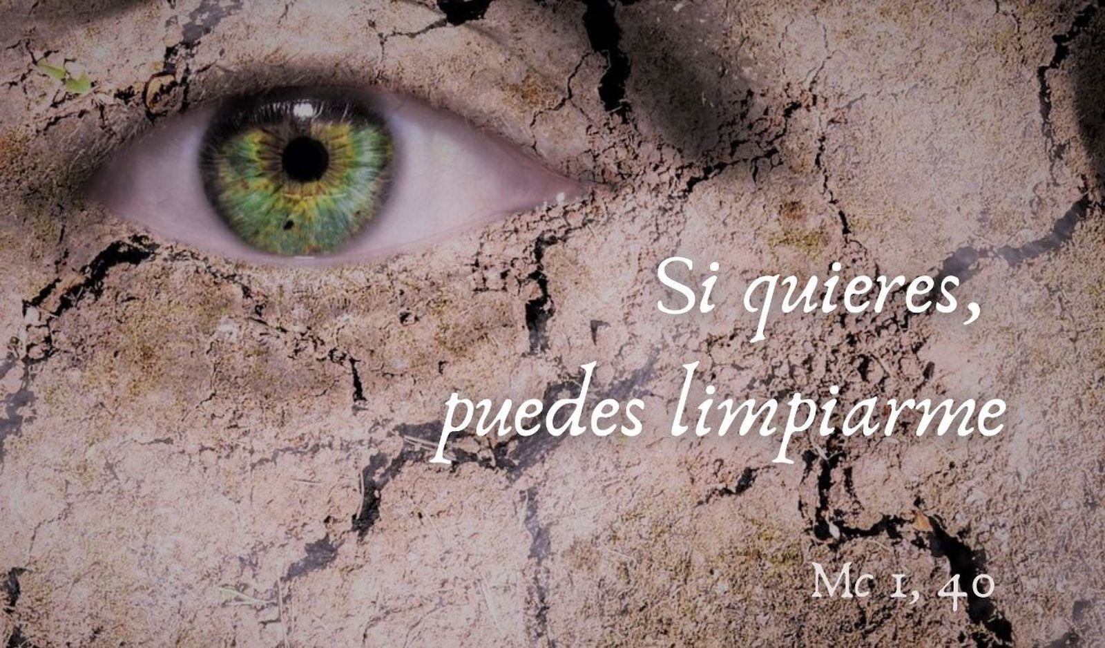 Si quieres, puedes limpiarme