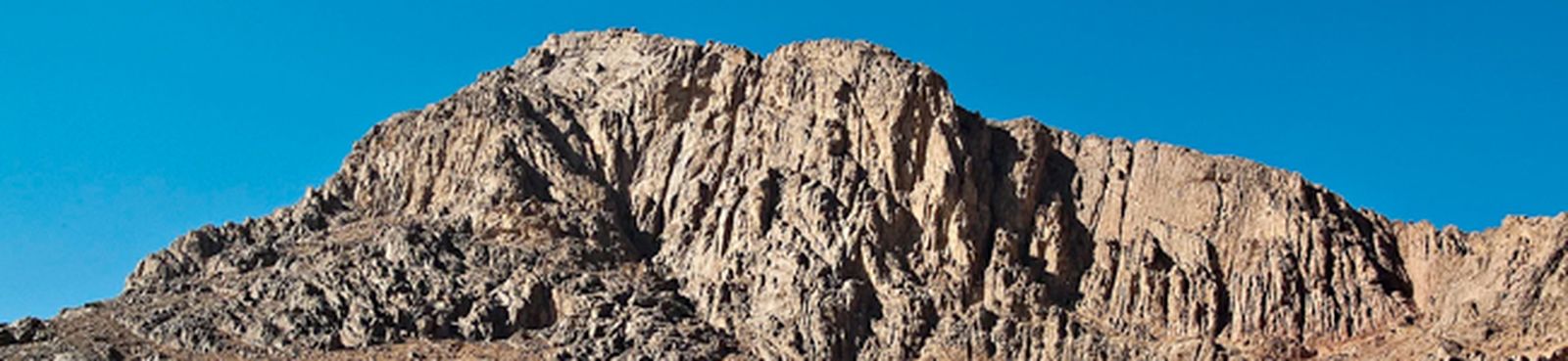 bach-nikolayeva-bwv565