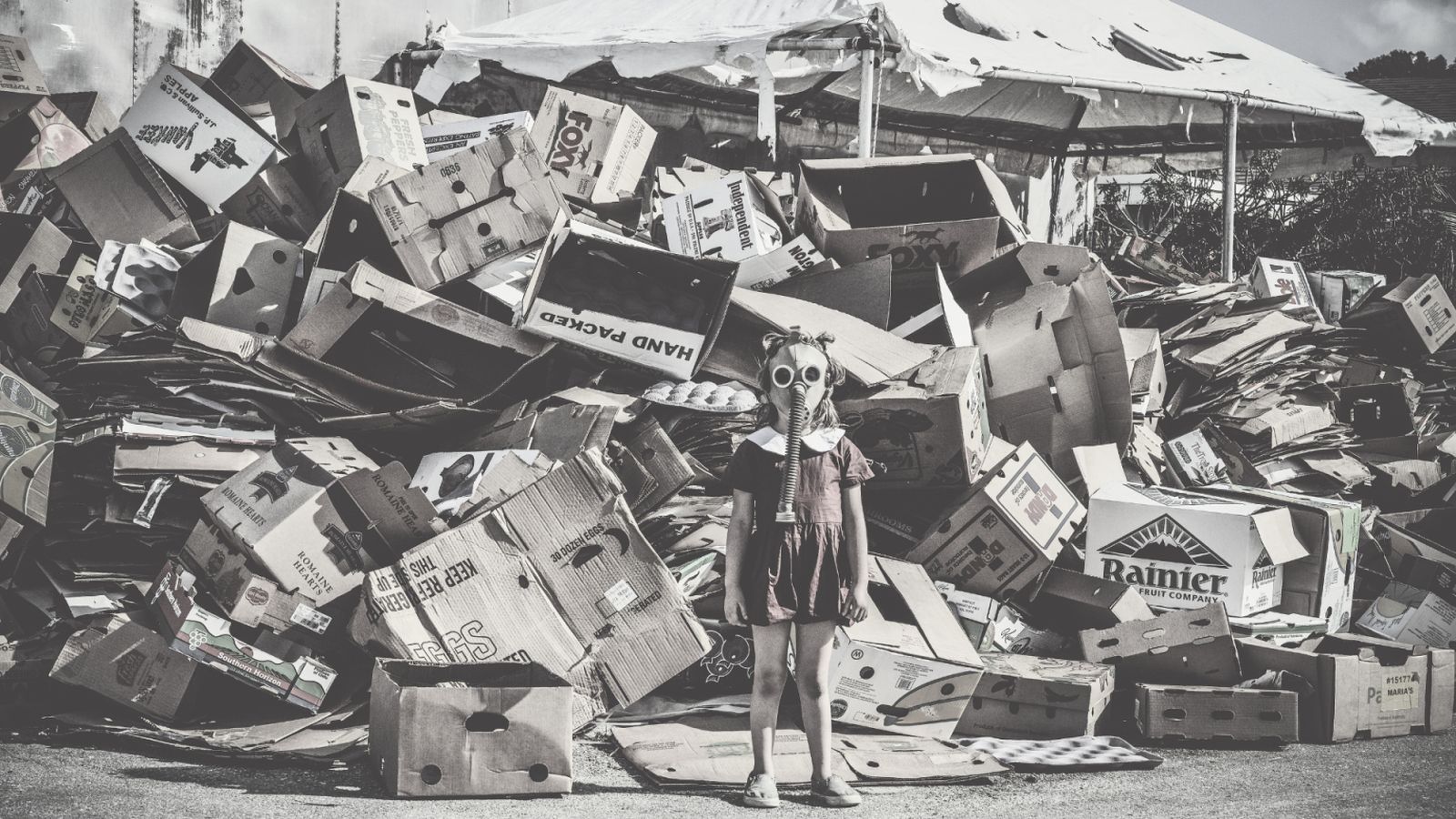 “Hemos de poner en cuestión la legitimidad de estas narrativas distópicas”, asegura el filósofo.