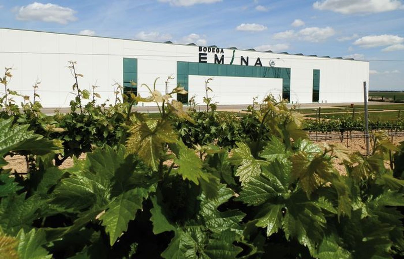 Bodegas Emina