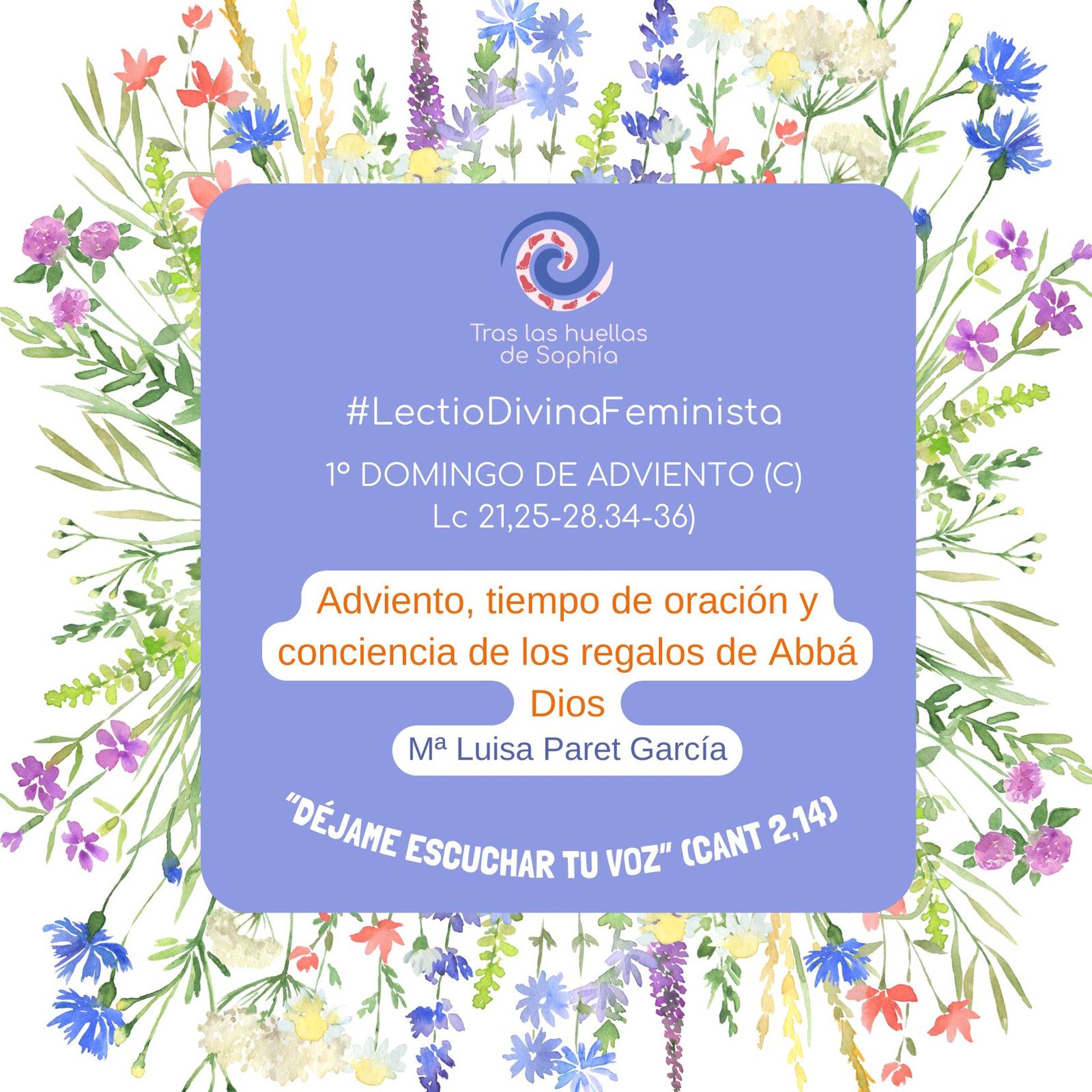 Adviento, tiempo de oración y conciencia de los regalos de Abbá Dios