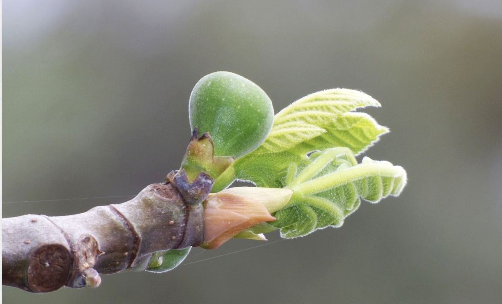 Los signos de los tiempos
