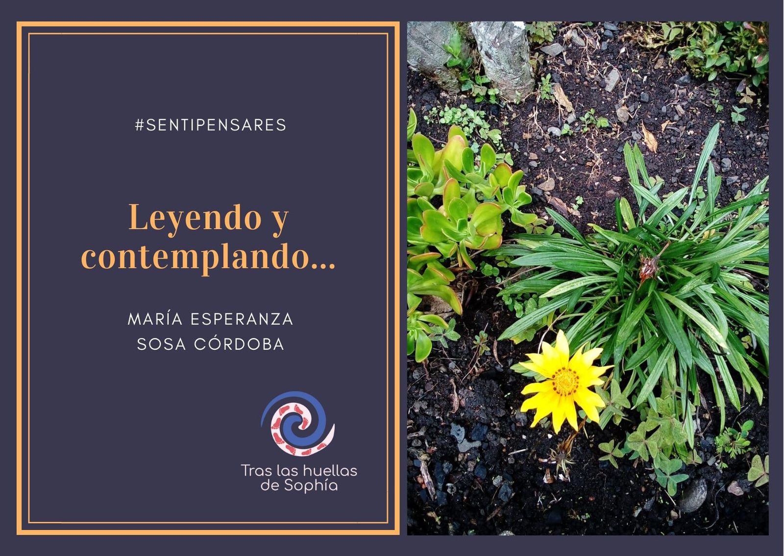 Leyendo y contemplando...