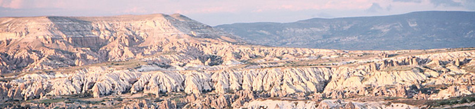 bach-mays-coral-bwv244