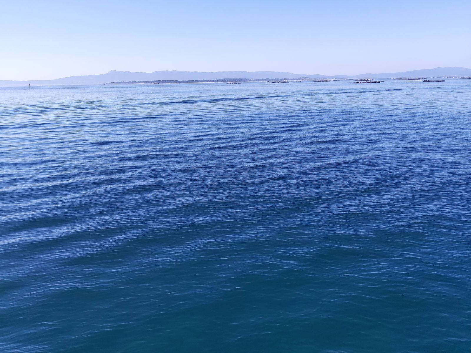 XXII Domingo del Tiempo Ordinario