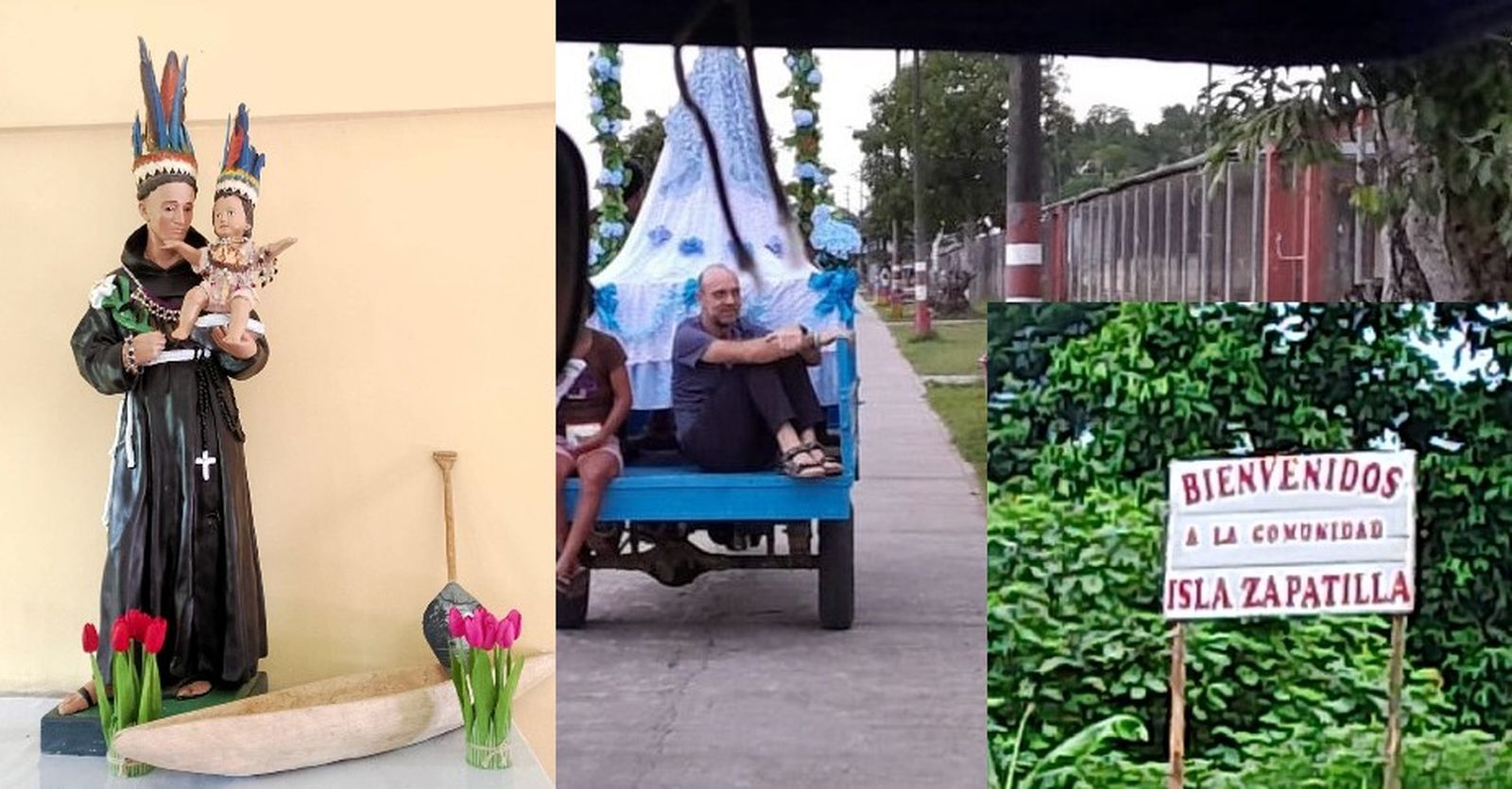 Imágenes de la selva