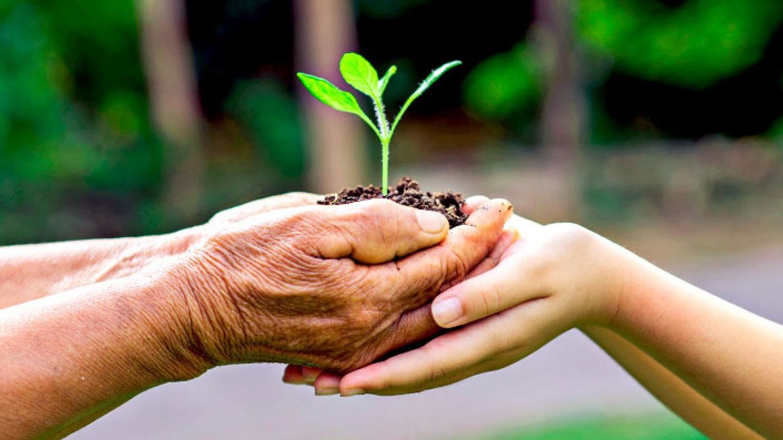 ¿Heredarán la tierra nuestros hijos? ¿O solo les quedarán deudas?