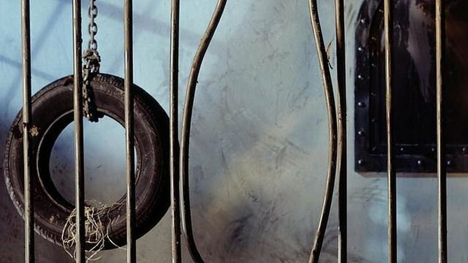 Neoliberalismo, neosocialismo, ecosocialismo