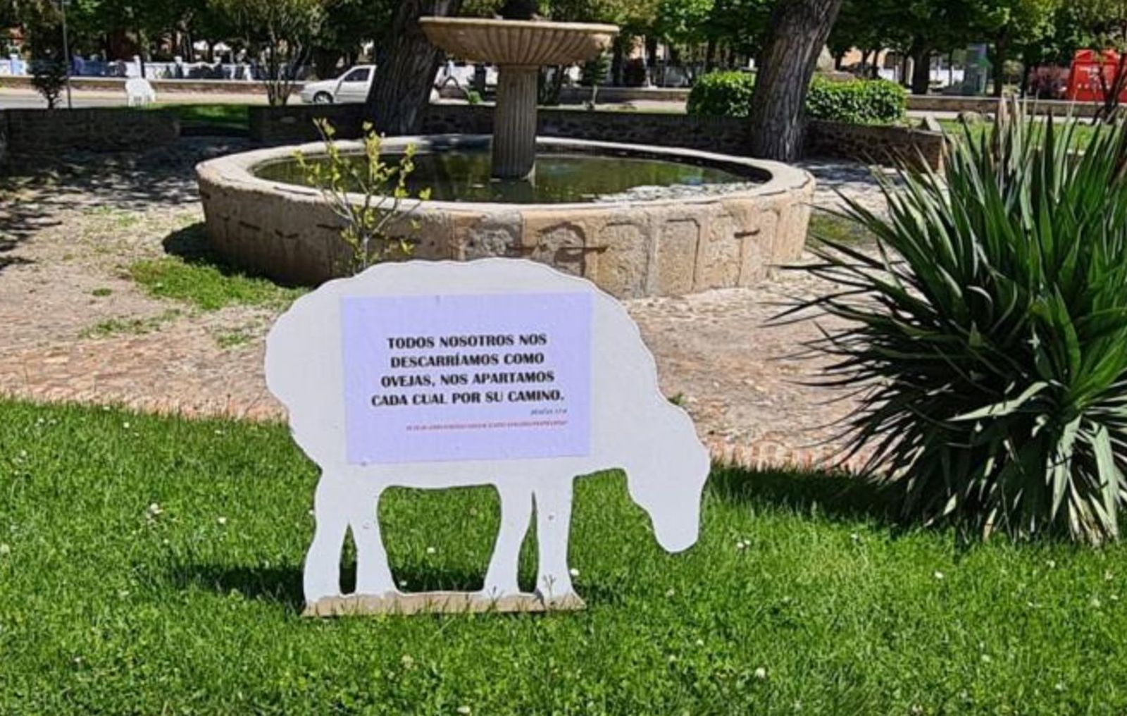 Oveja en Ciudad Rodrigo