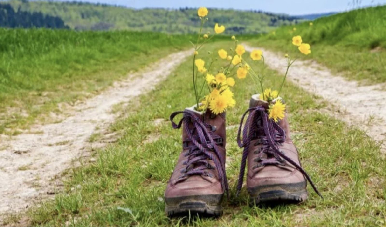 Caminos