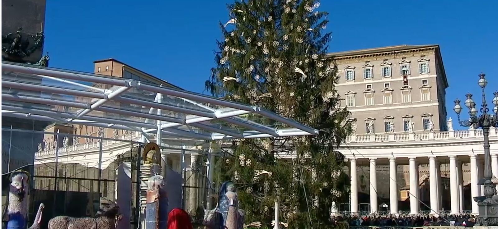 Belén y abeto vaticanos