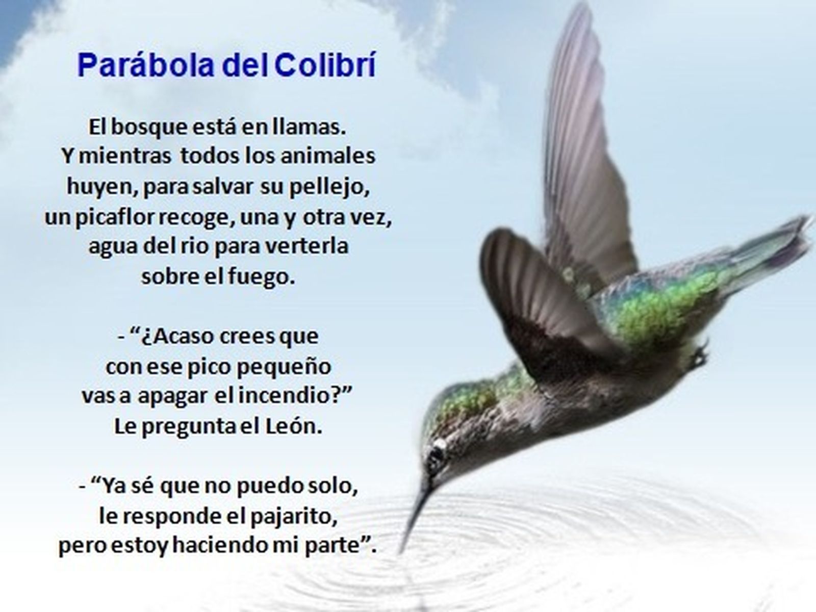 Parábola del Colibrí