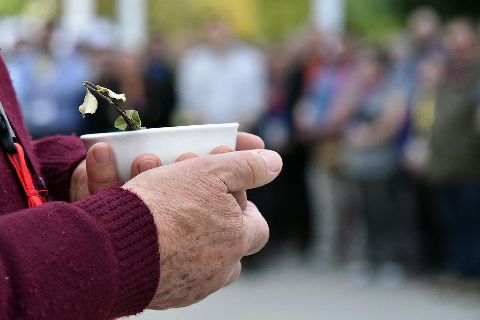 Algunos de los signos de la Asamblea Eclesial