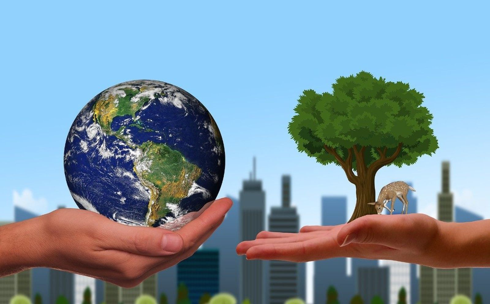 Cristianismo y ecología