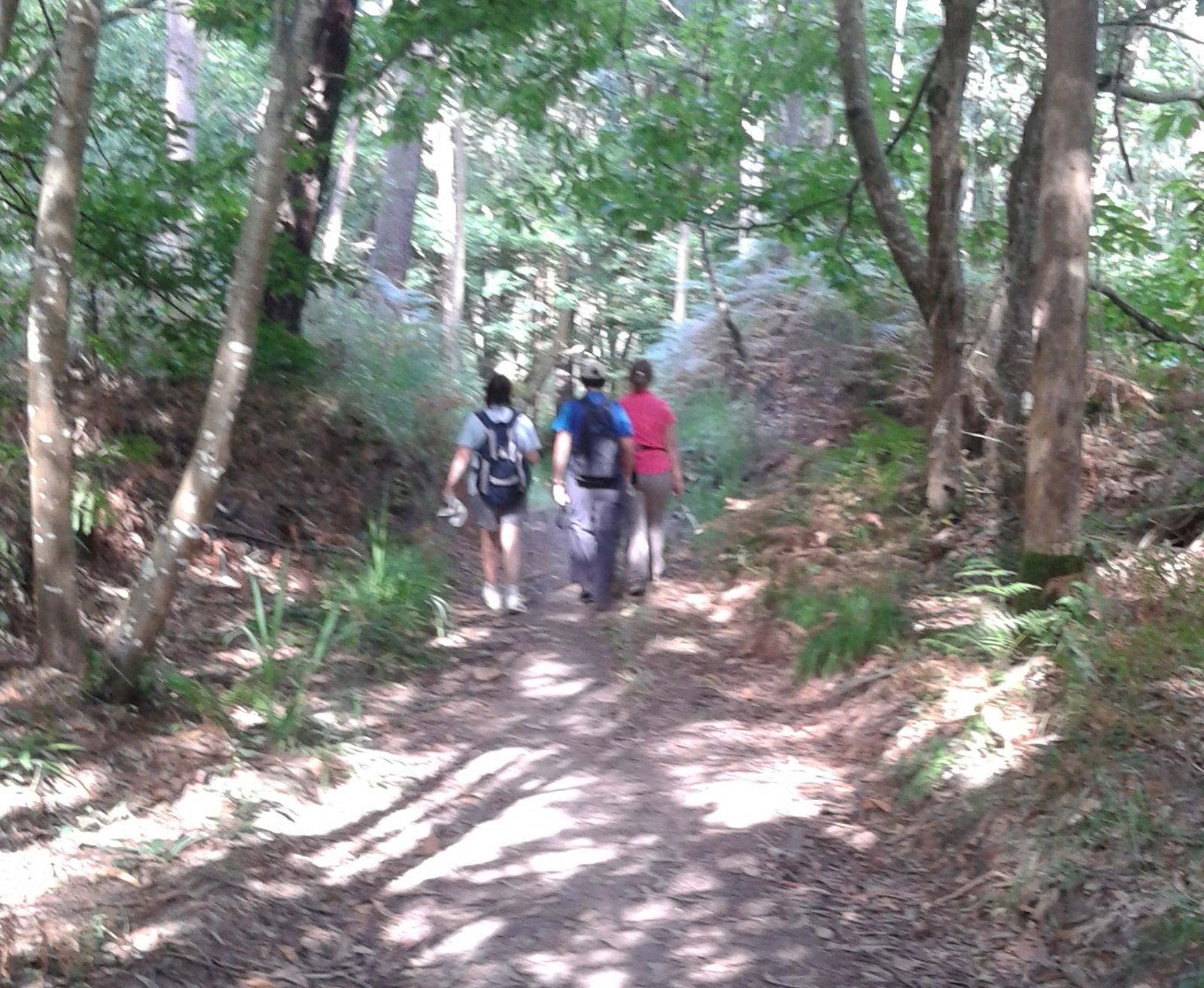 Camino