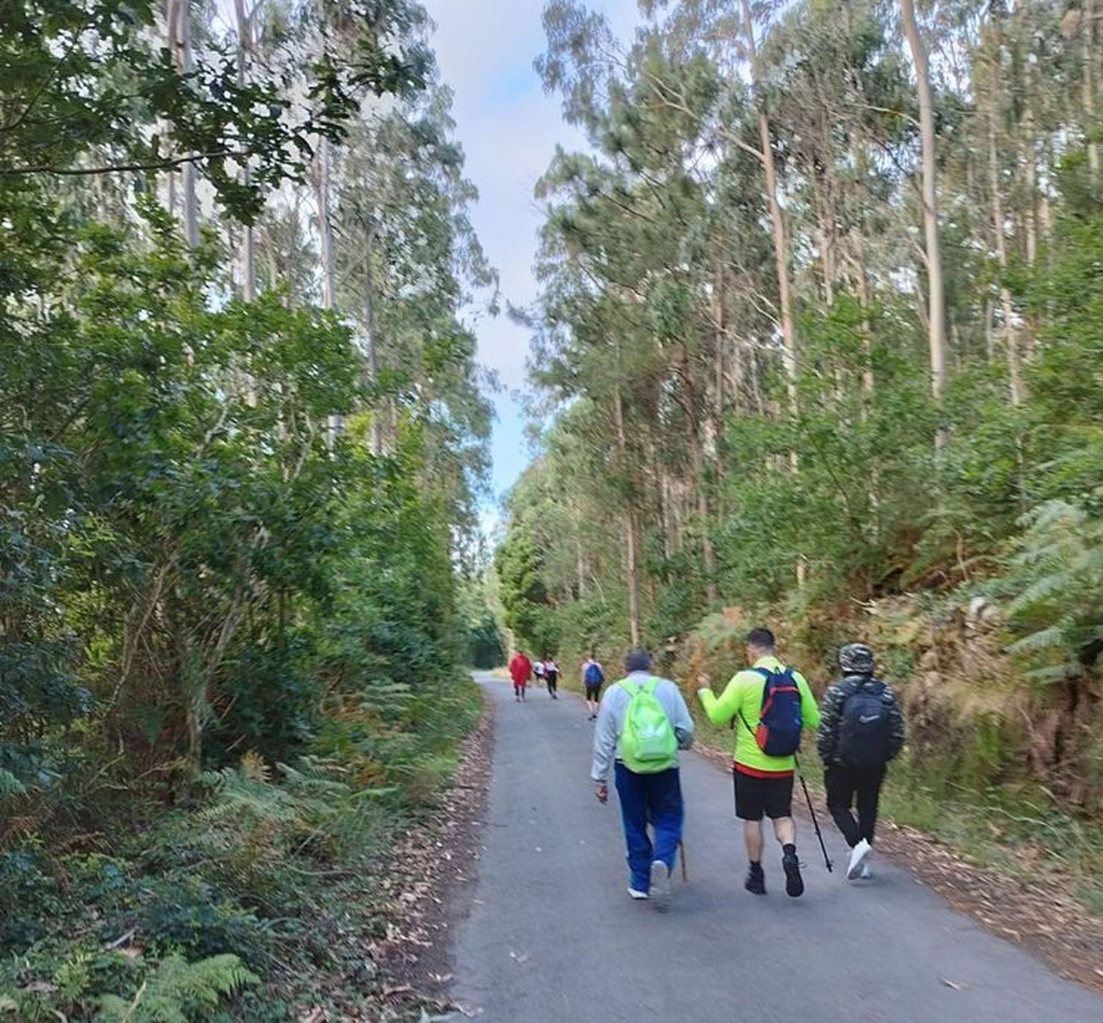 Peregrinos Navalcarnero