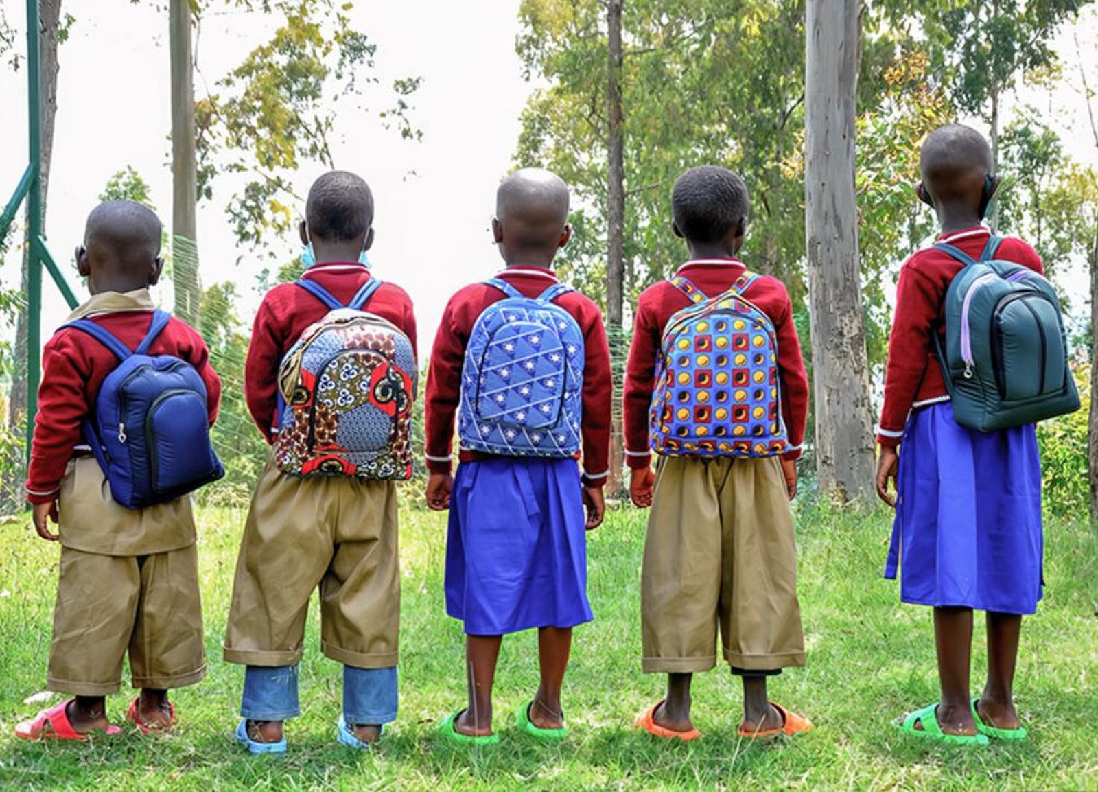 Día Internacional de la Educación