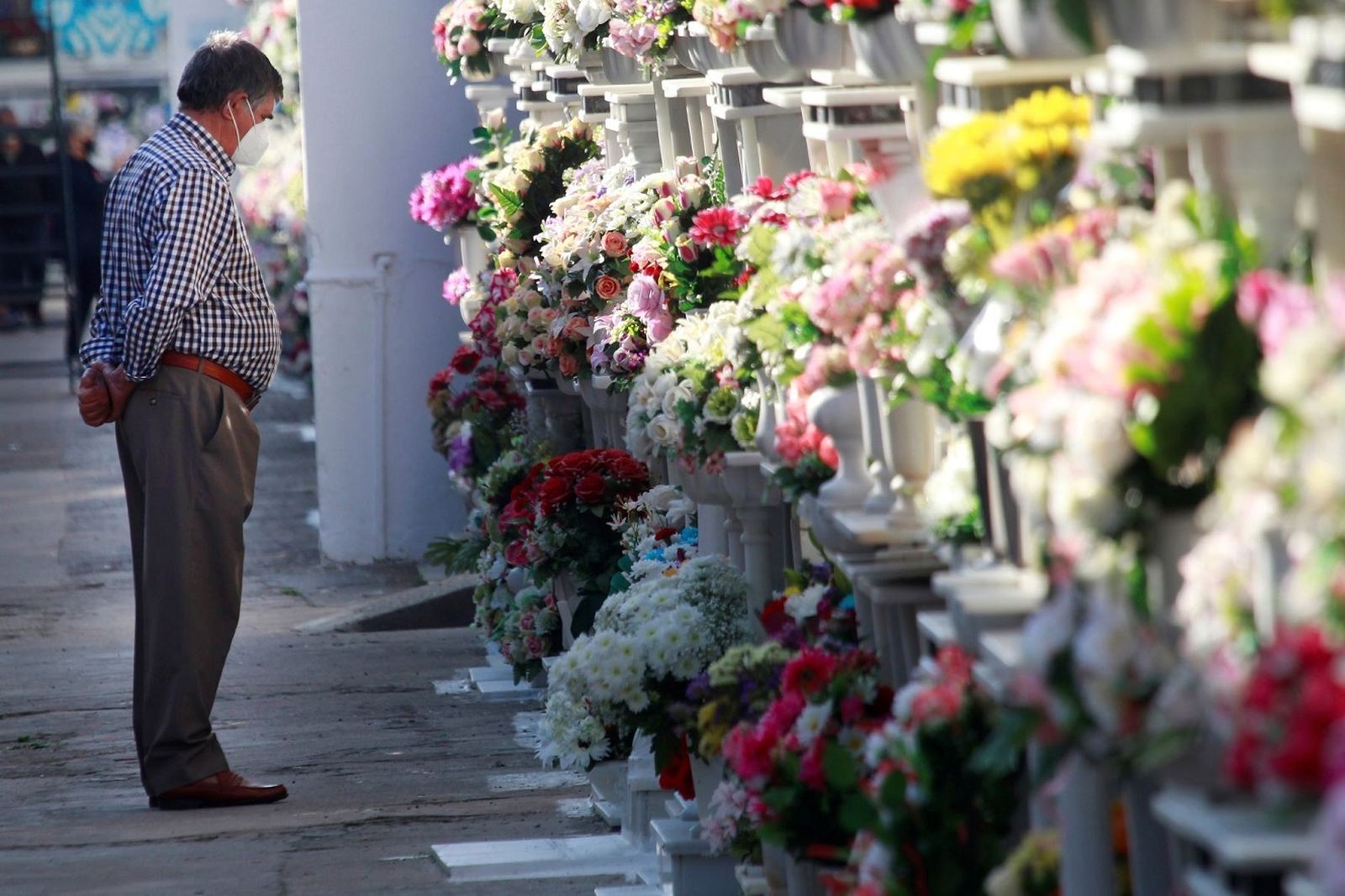 Cementerio lleno de flores