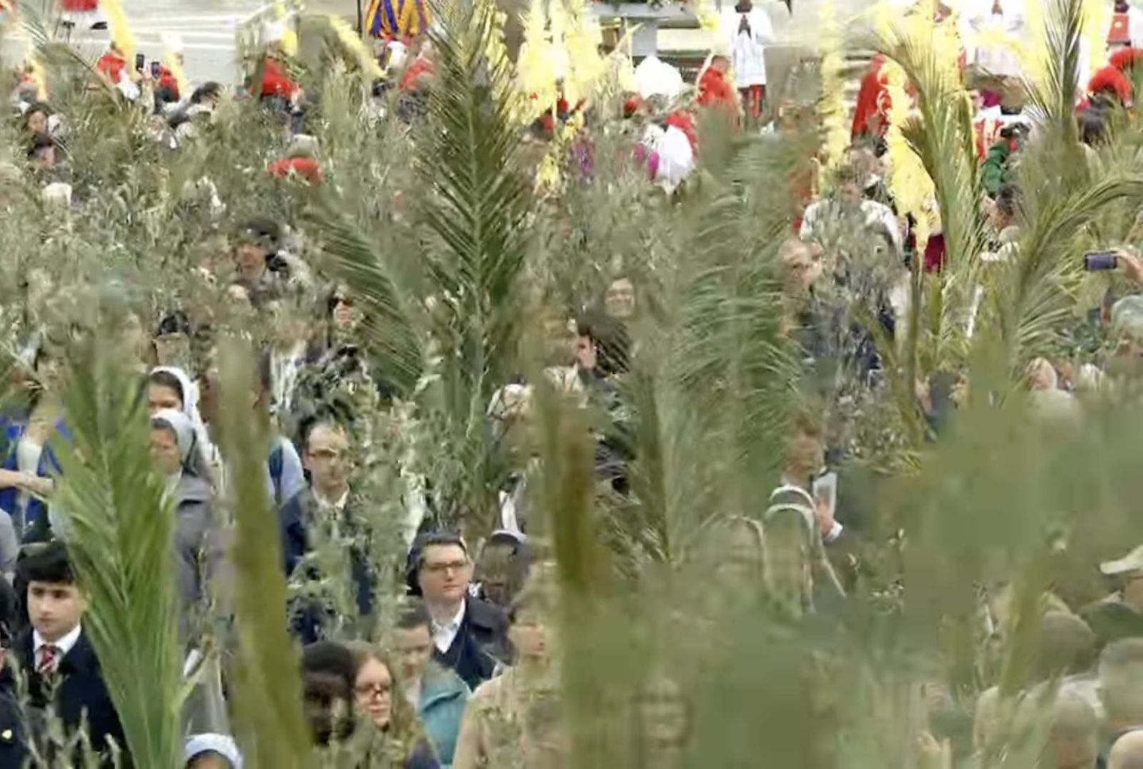 Los fieles portan las palmas y ramos de olivo en la plaza de San Pedro