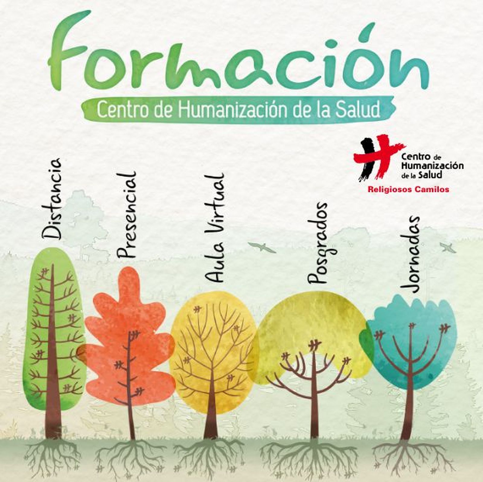 Formación