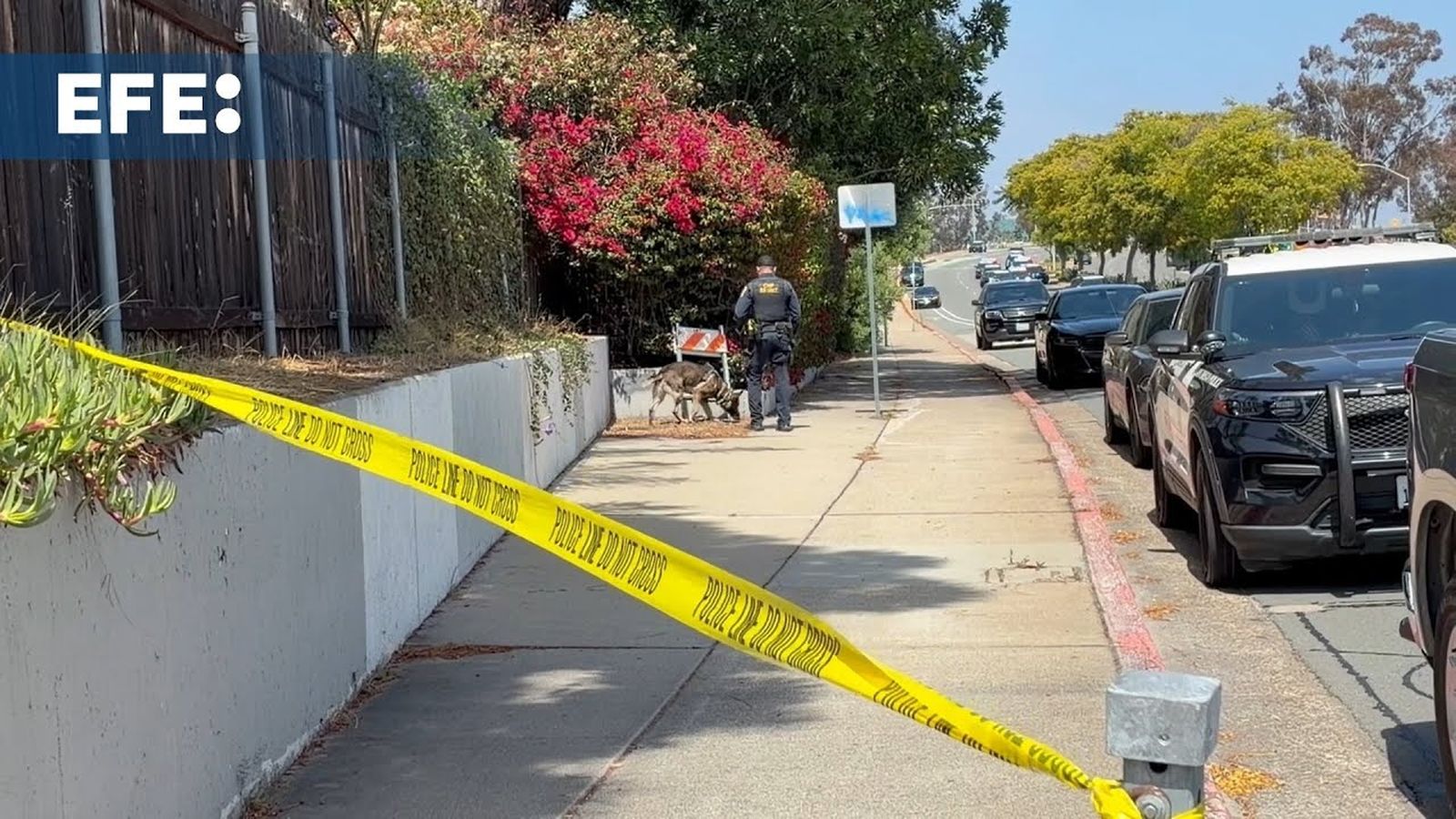 Los obispos USA condenan el atentado contra el Centro Islámico de San Diego