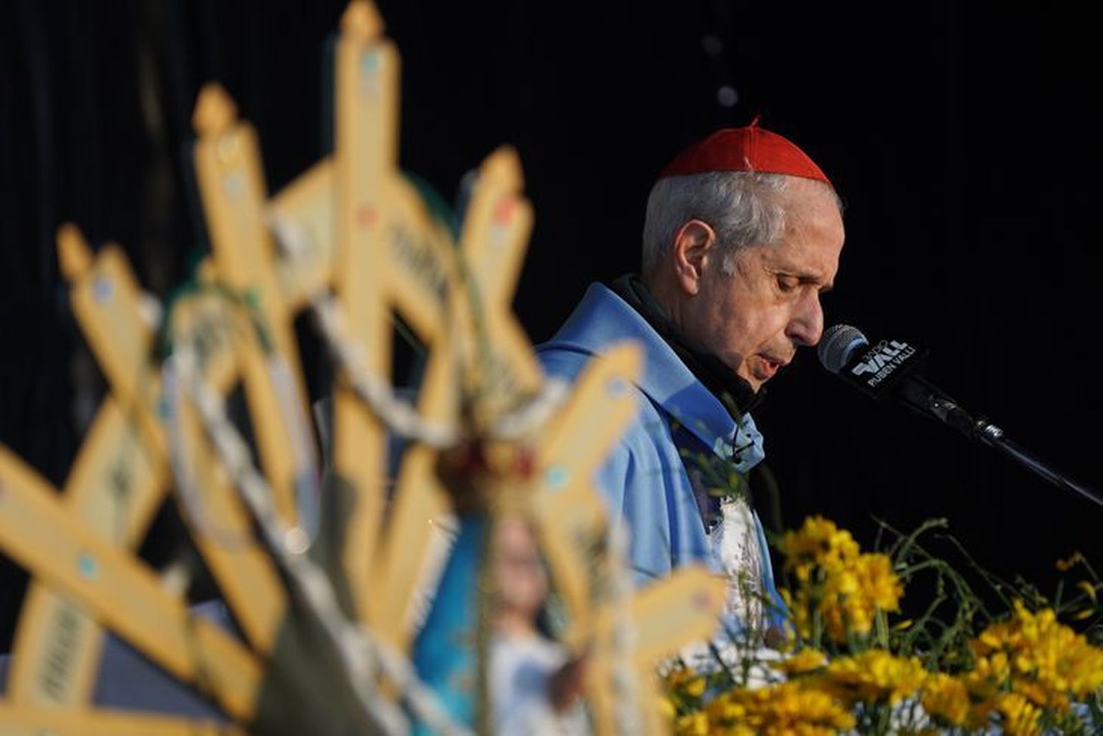 Cardenal Poli en Luján