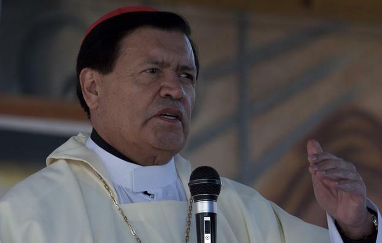 El cardenal, en plena homilía