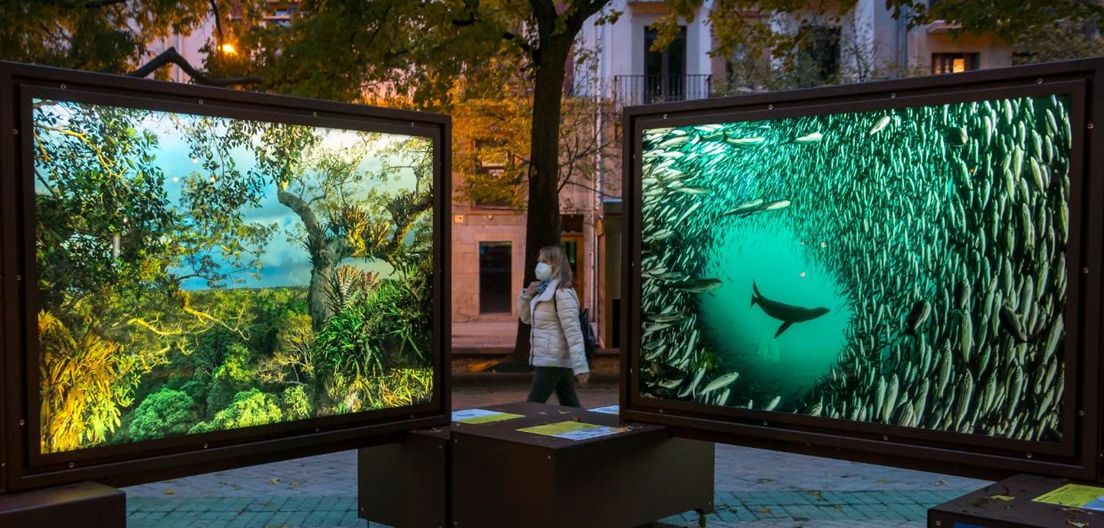 De Polo a Polo, un viaje a los grandes paraísos naturales pretende concienciar sobre la importancia de proteger el planeta.