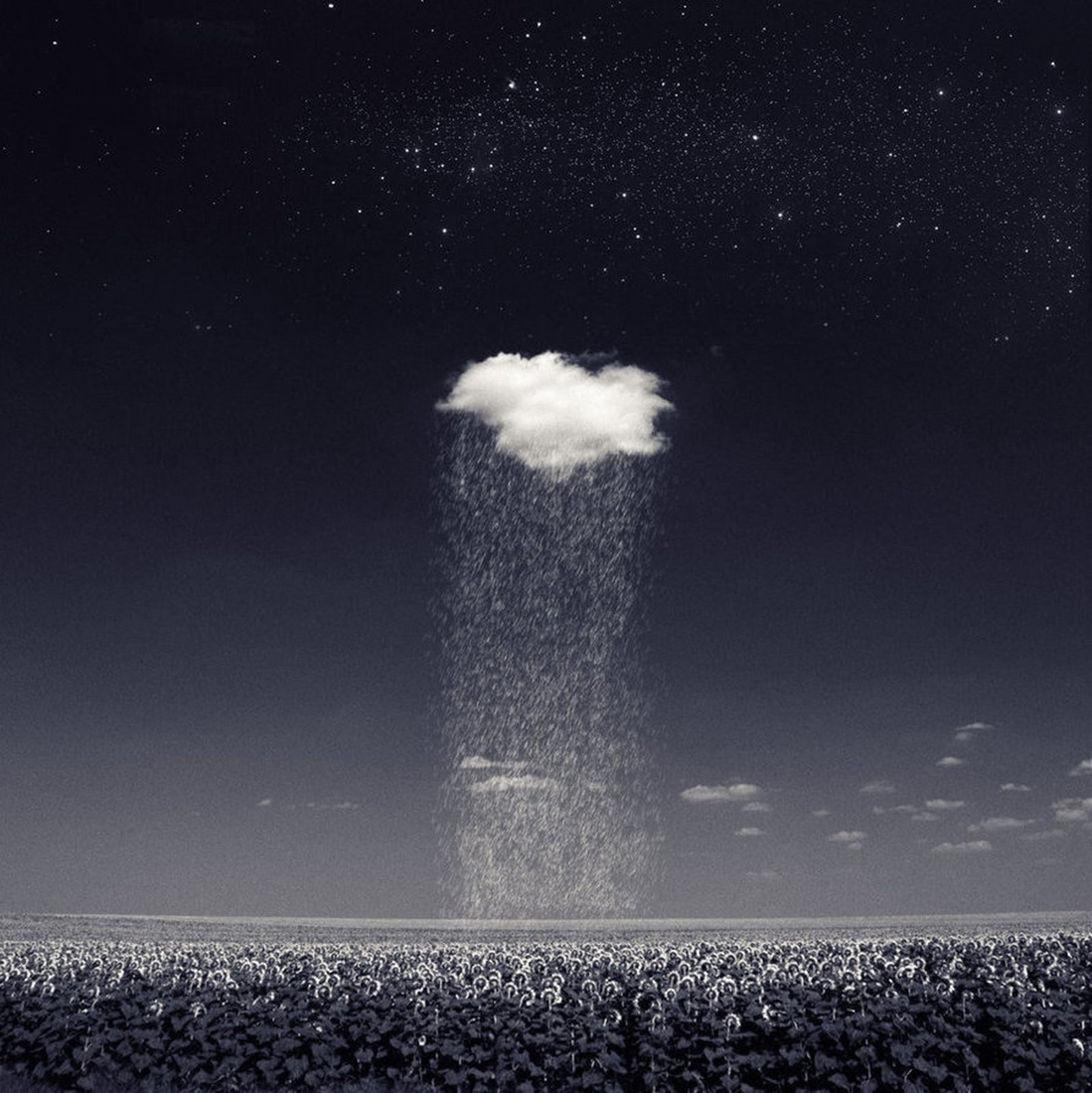 Volveremos a encontrarnos