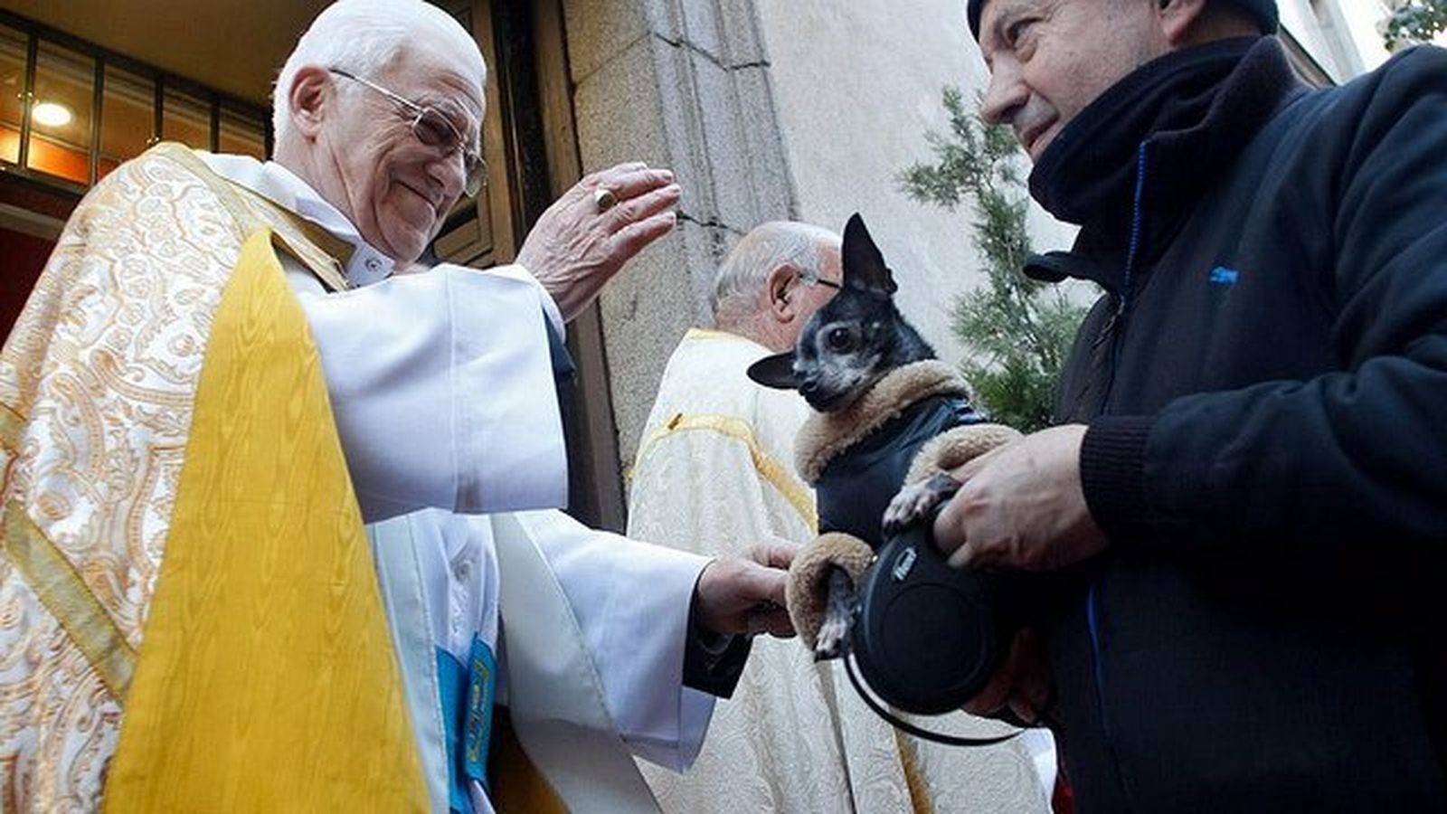 El Padre Ángel bendiciendo a una mascota en San Antón