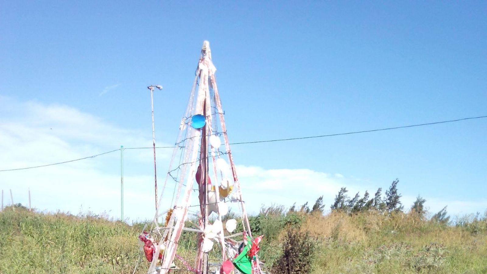 Arbolito pobre, Solano