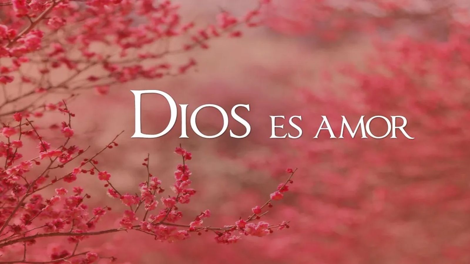 Dios es amor