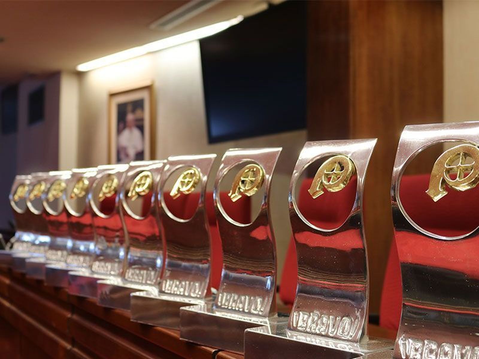Los galardones que se entregarán a los Premios ¡Bravo!
