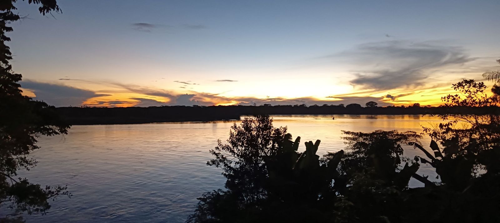 Belleza del Amazonas