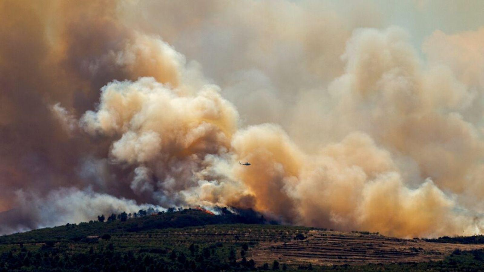 Incendio forestal
