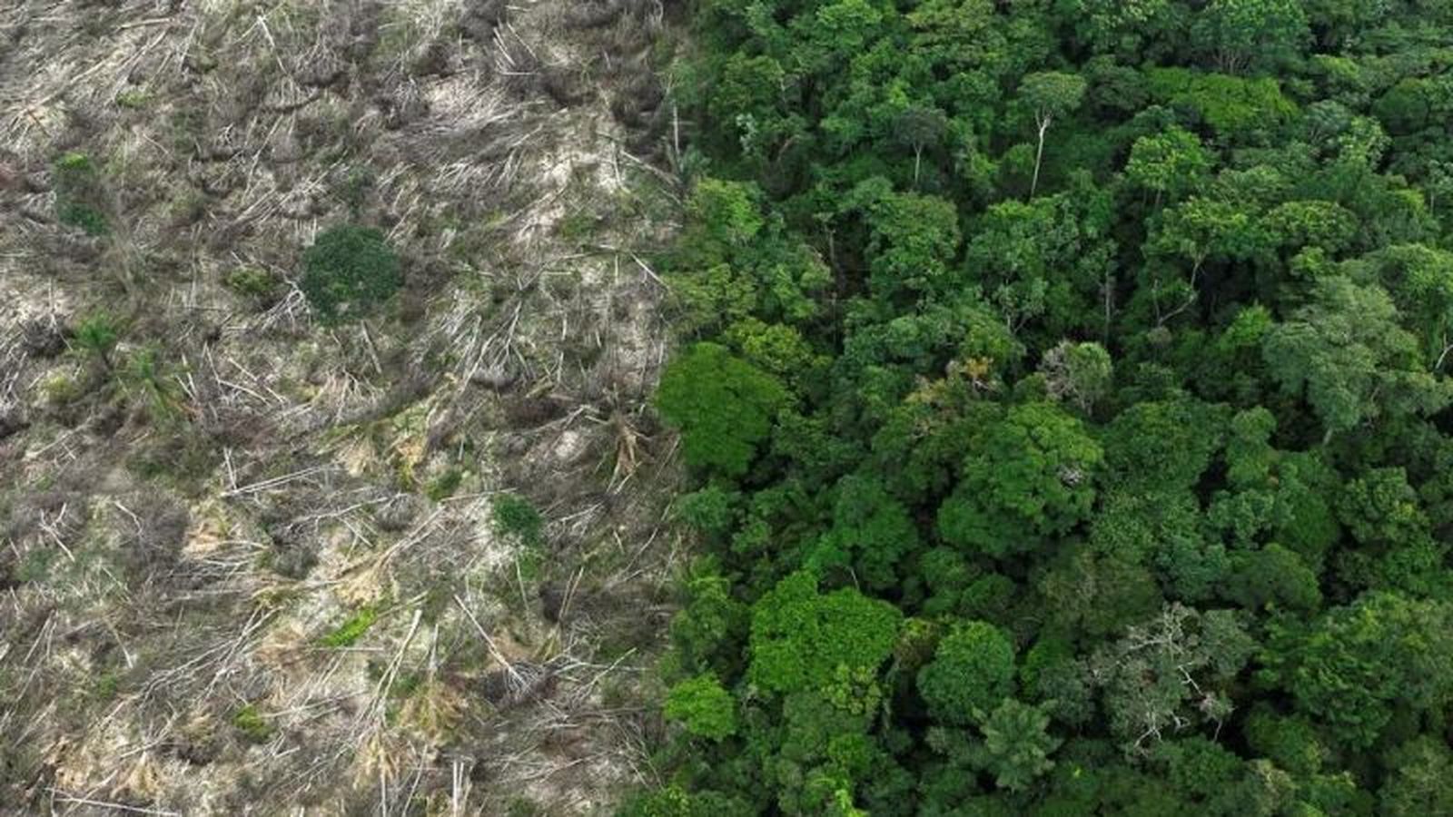 La realidad del extractivismo