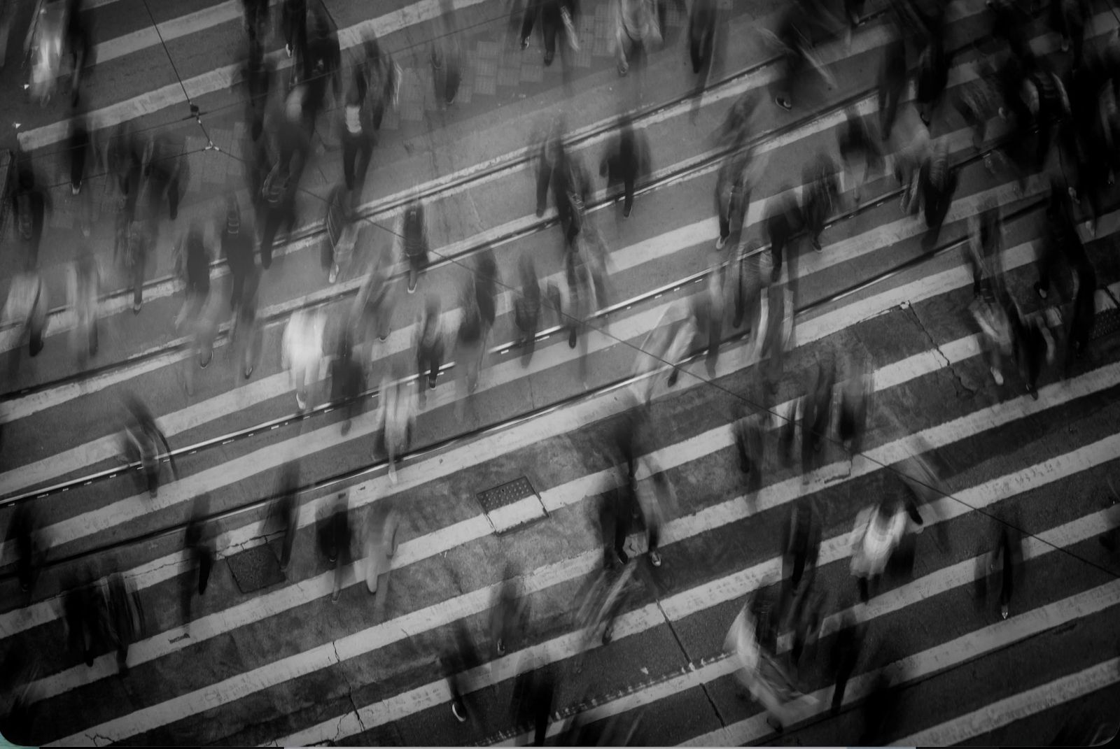 Miembros de una misma familia