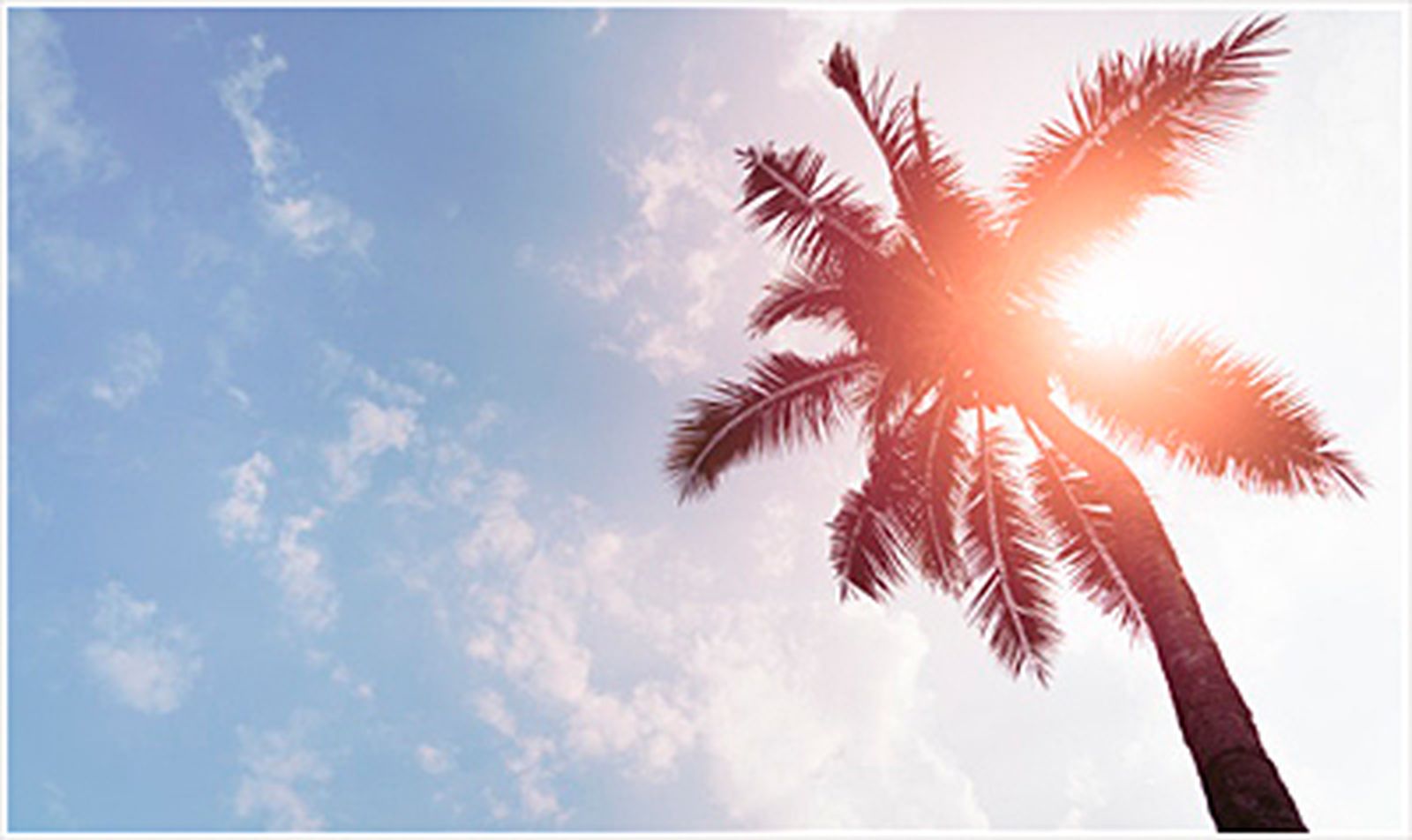 Santificar EL DÍA. 2